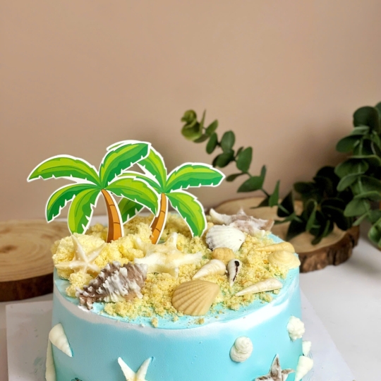 Donan Cake & Class